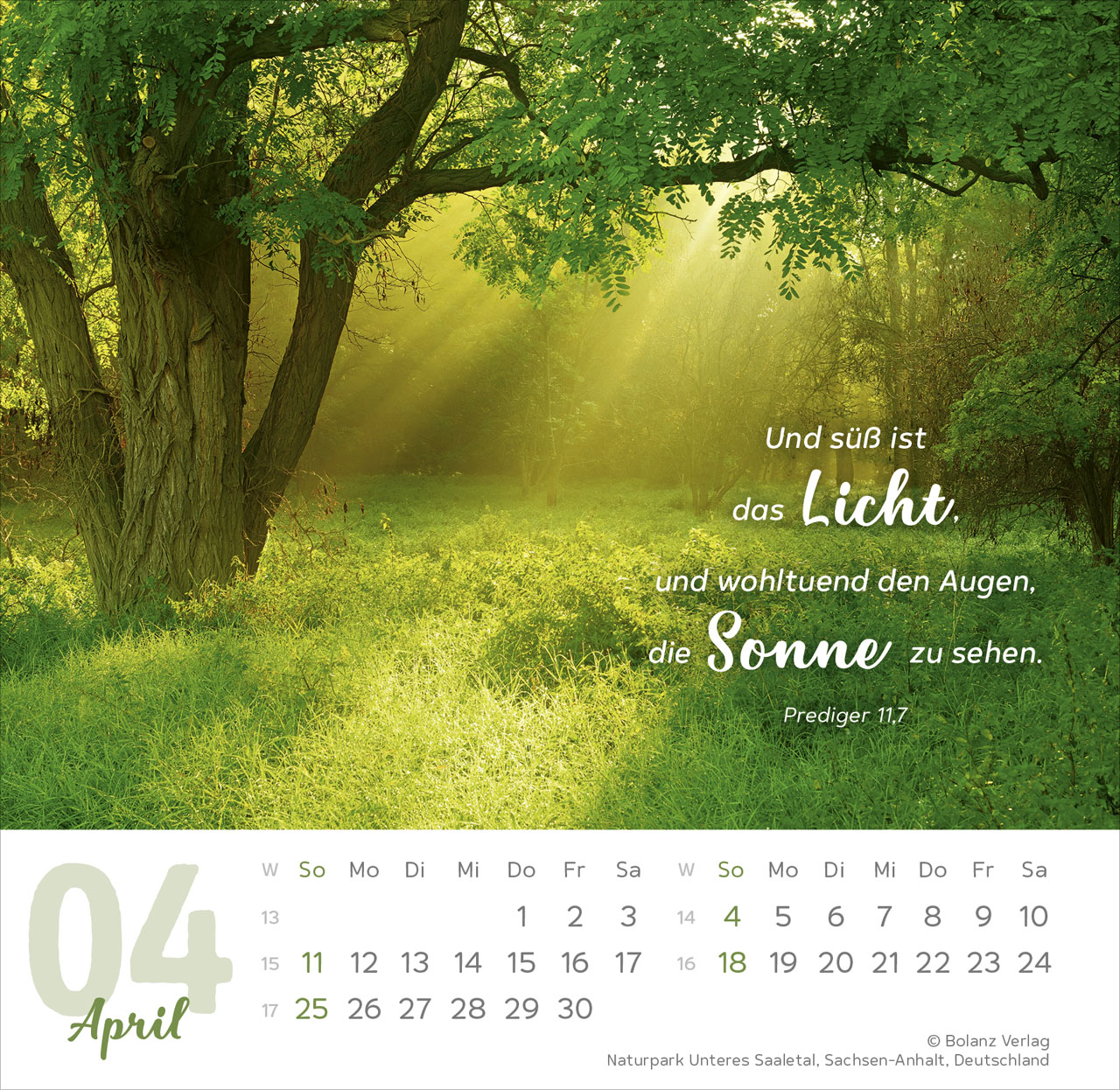 Tischkalender - Meine Zeit 2027