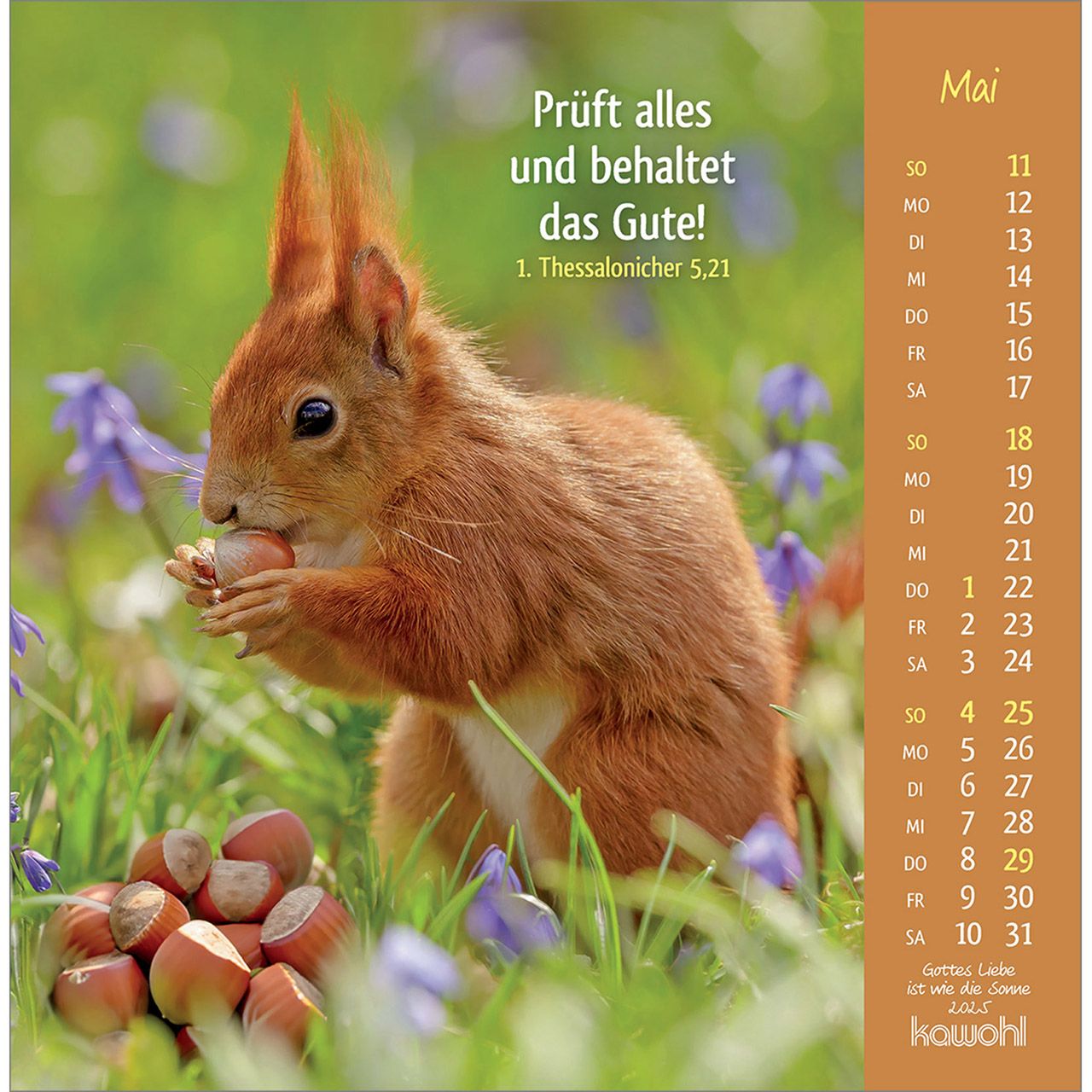 Aufstellkalender - Gottes Liebe ist wie die Sonne 2025