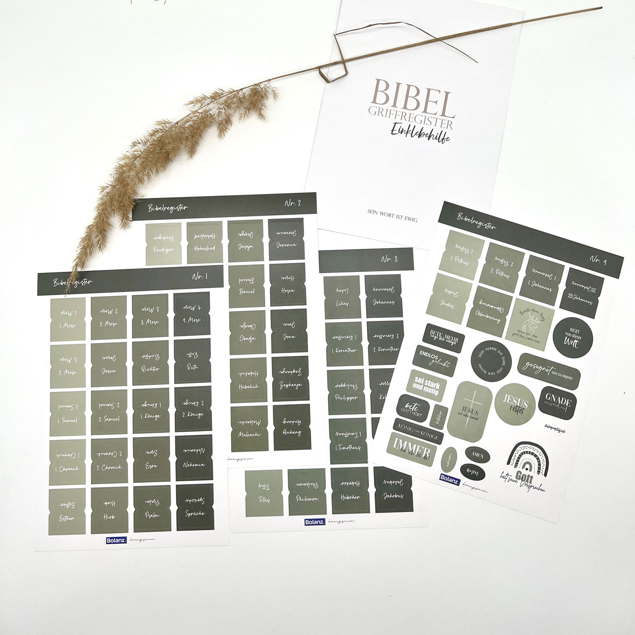 Bibel-Griffregister Salbeigrün Bibel-Griffregister Salbeigrün