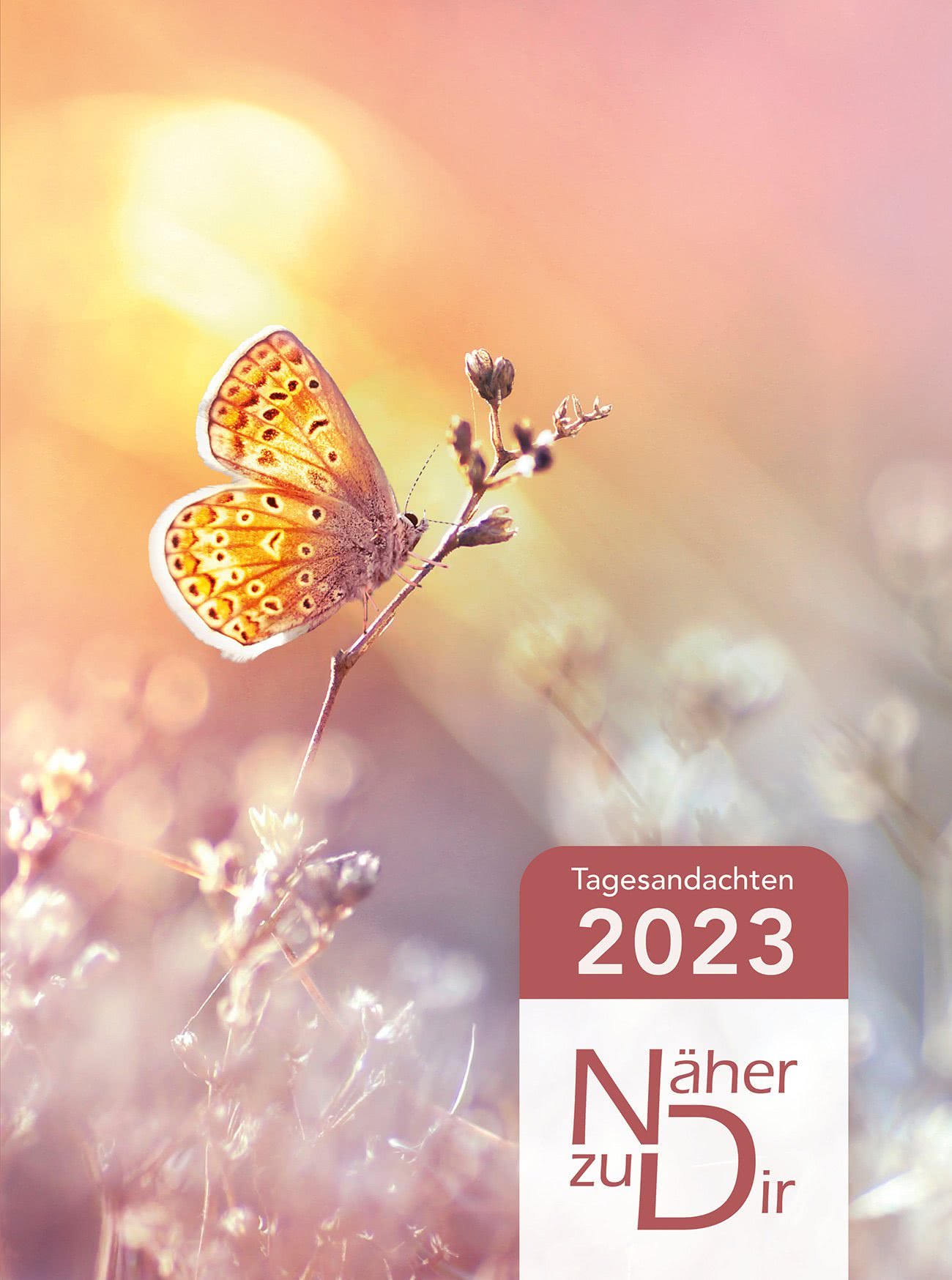 Näher zu dir 2023 Buchkalender (Schmetterling)