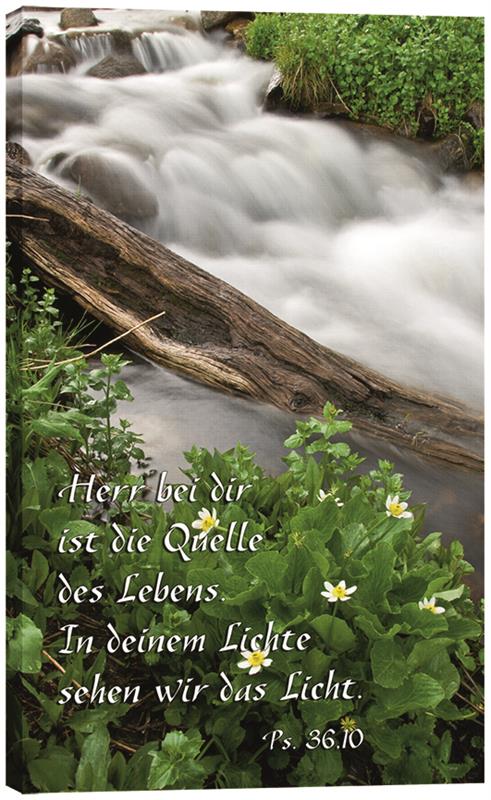 Leinwand - Quelle Leinwand - Quelle