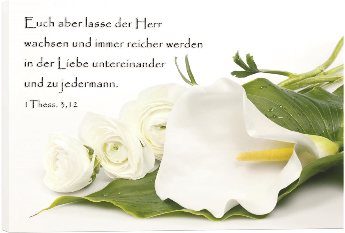 Leinwand - Weiße Calla und Rosen Leinwand - Weiße Calla und Rosen