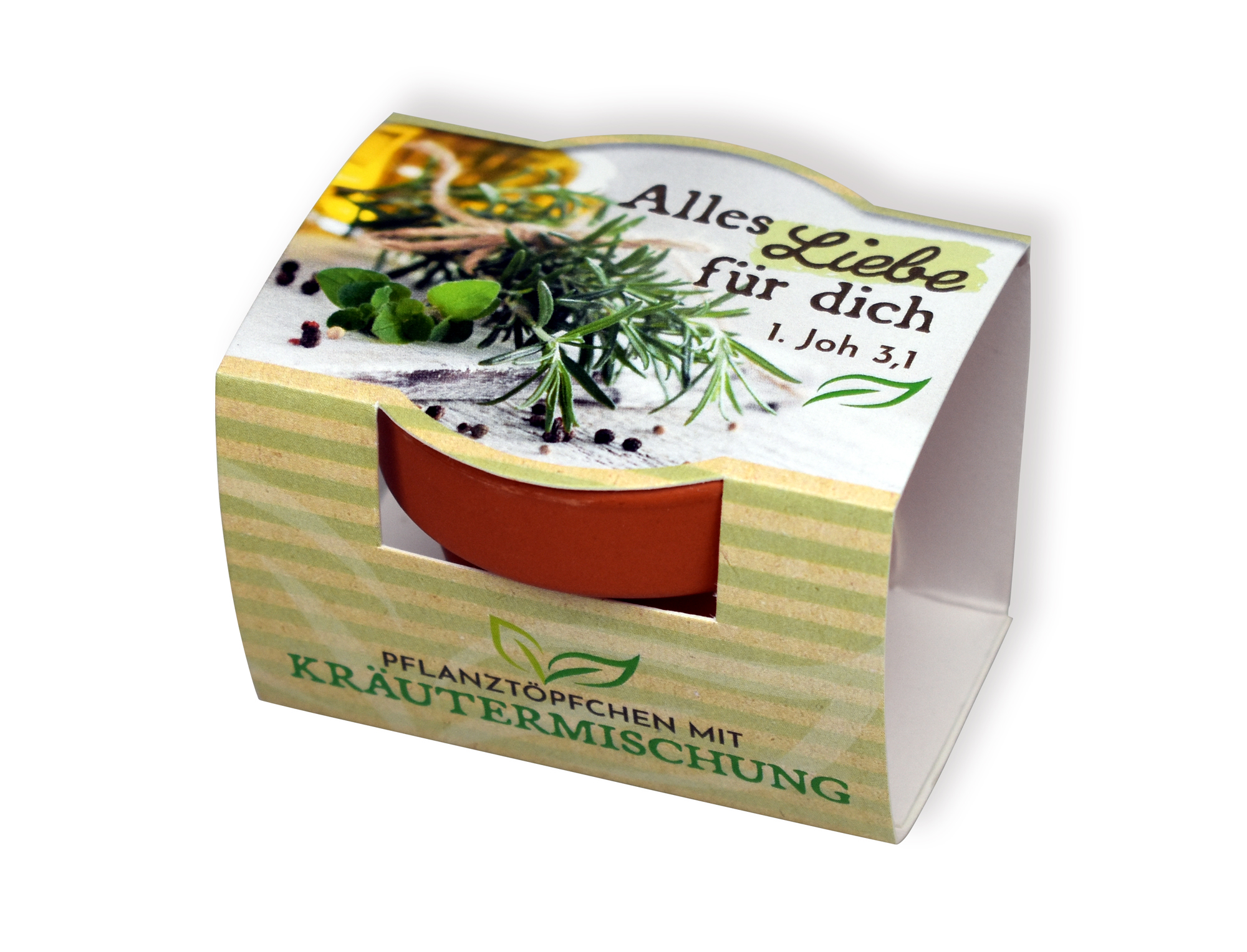 Pflanzenanzucht-Set Kräuter