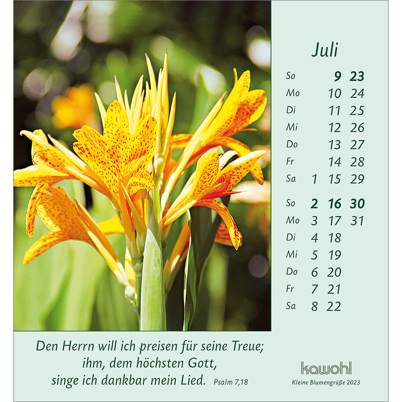 Aufstellkalender - Kleine Blumengrüße 2023 Aufstellkalender - Kleine Blumengrüße 2023