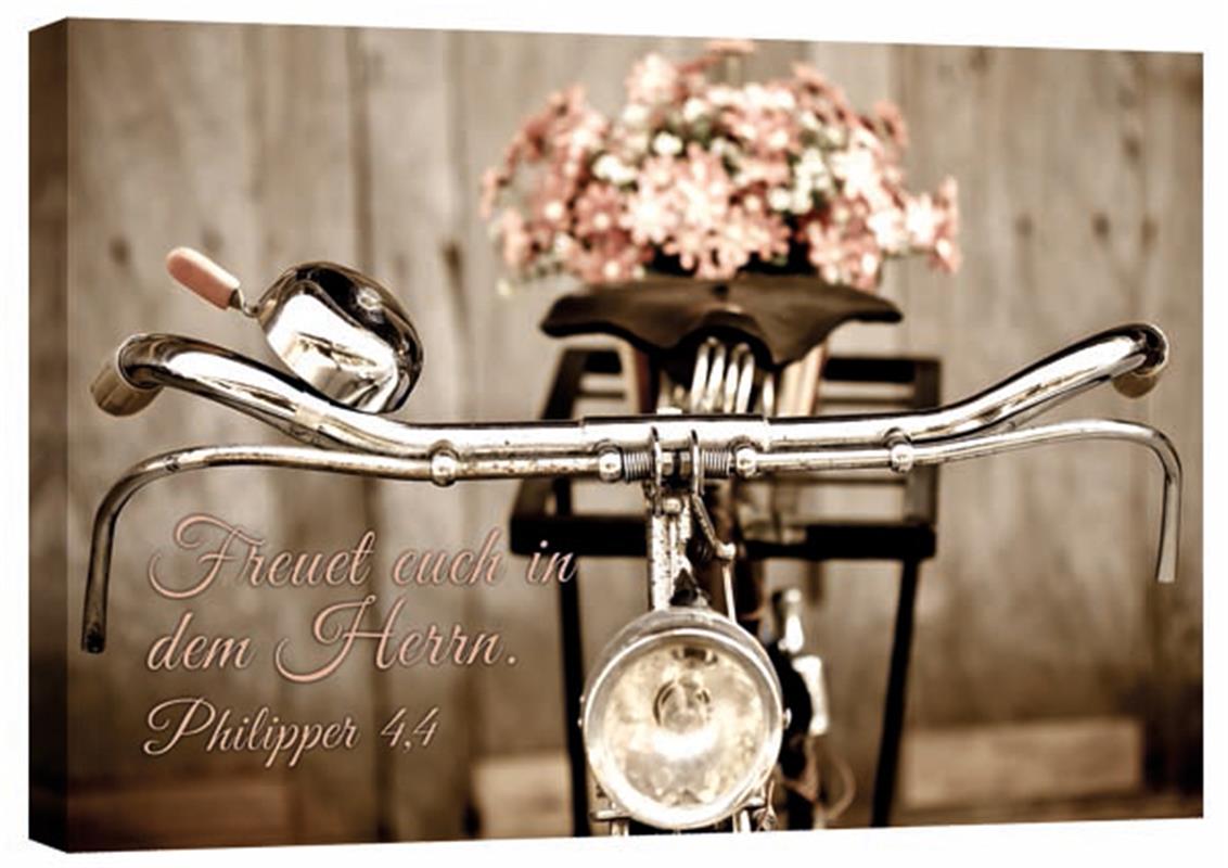 Leinwand - Fahrrad mit Blumen Leinwand - Fahrrad mit Blumen