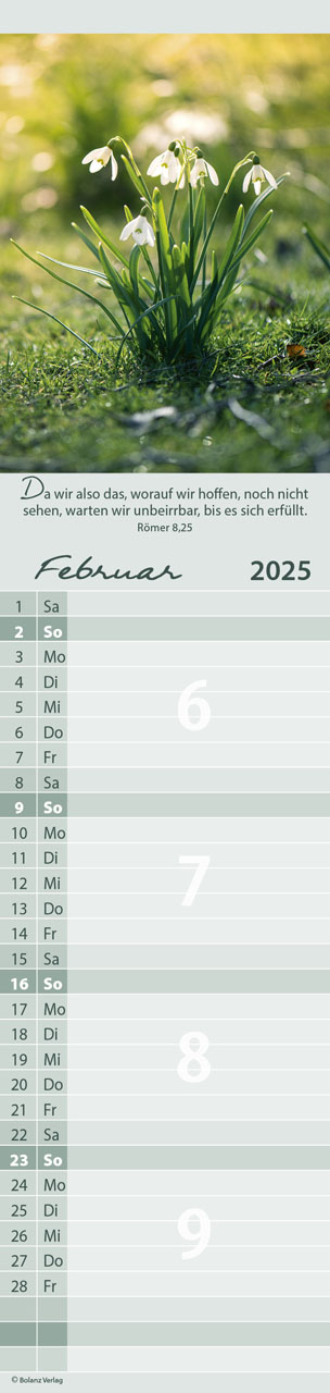 Streifenkalender - Für Alle 2025