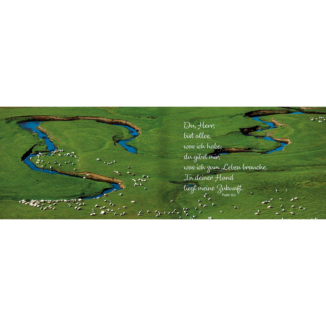 Geschenkbuch-mit-Anhaenger-Der-Herr-ist-mein-Hirte-5172-04NoyTfCDJD9ciE