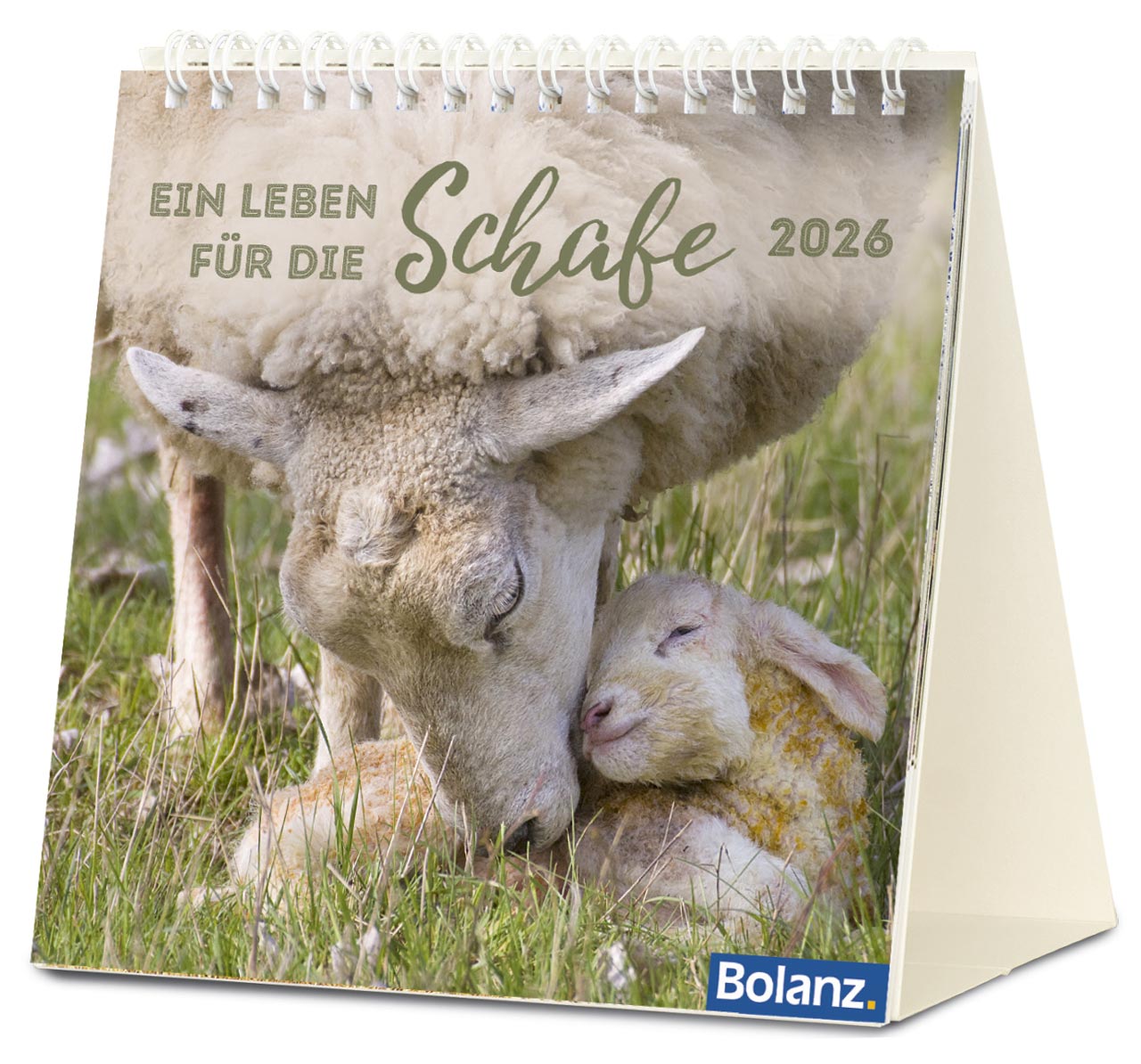 Ein Leben für die Schafe 2026 - Tischkalender