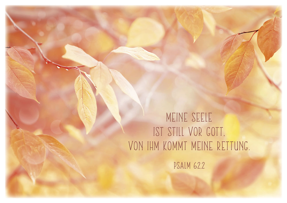 Postkartenbox-Getroestet-und-getragen-179731998_2