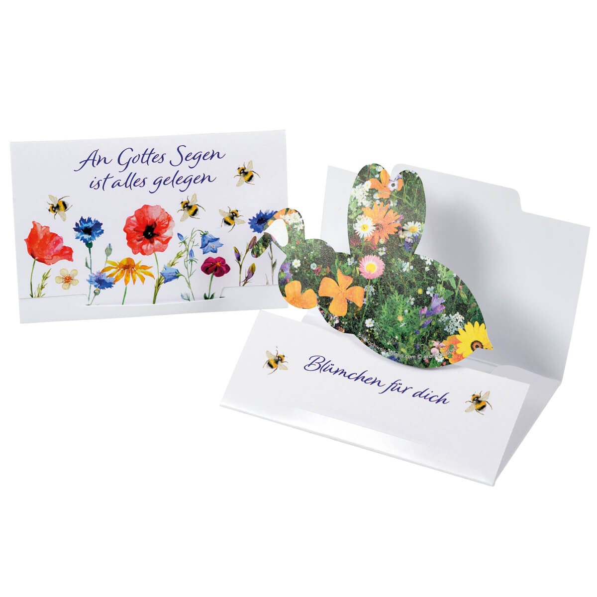 Samenpapier-Gottes-Segen-Praisent-Nachhaltig-Samenpapier-Segen-2