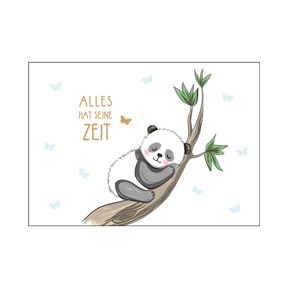 Postkarte Panda Postkarte Panda