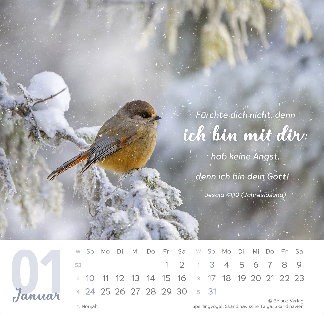 Tischkalender - Meine Zeit 2027