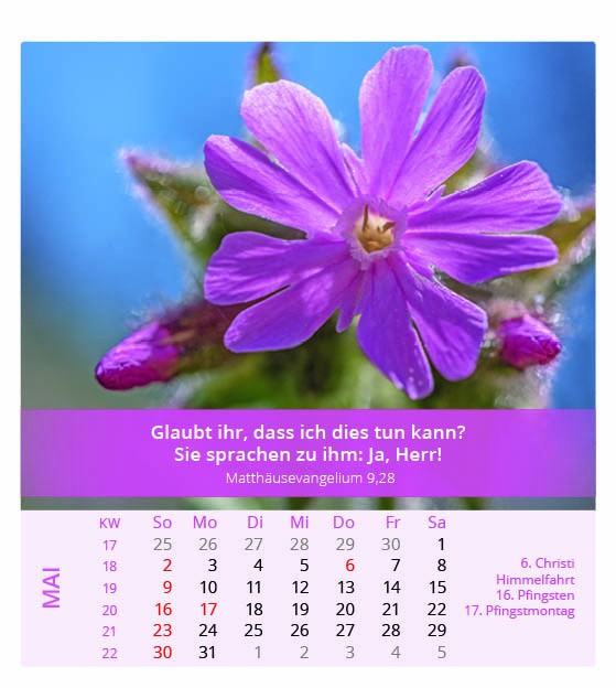 Ich bin der Herr, dein Gott - Tischkalender 2027