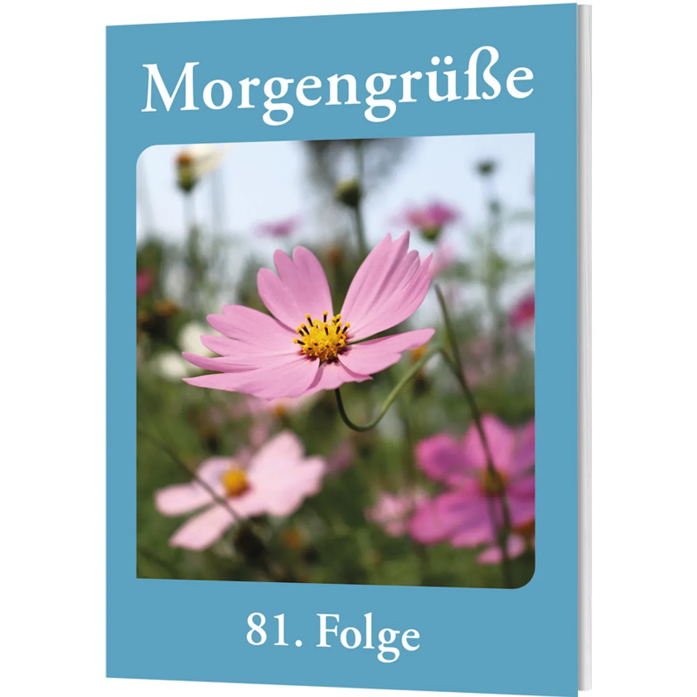 Morgengrüße - 81. Folge