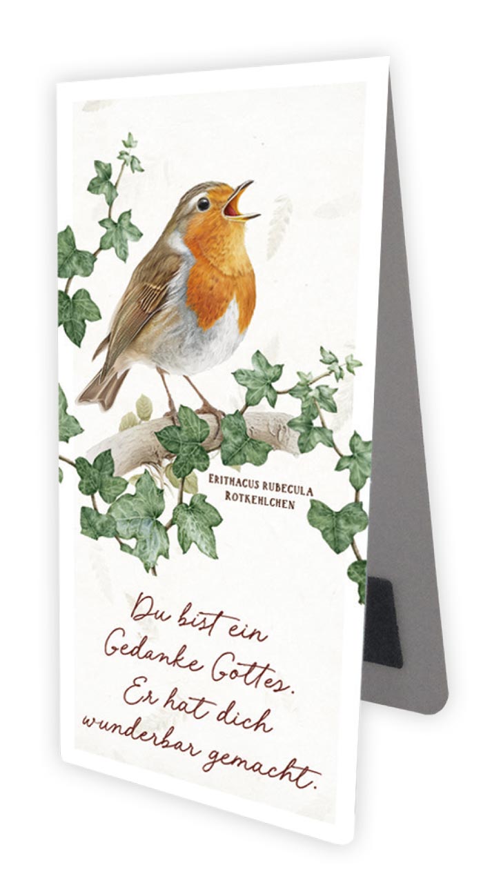 Magnetlesezeichen - Rotkehlchen Magnetlesezeichen - Rotkehlchen