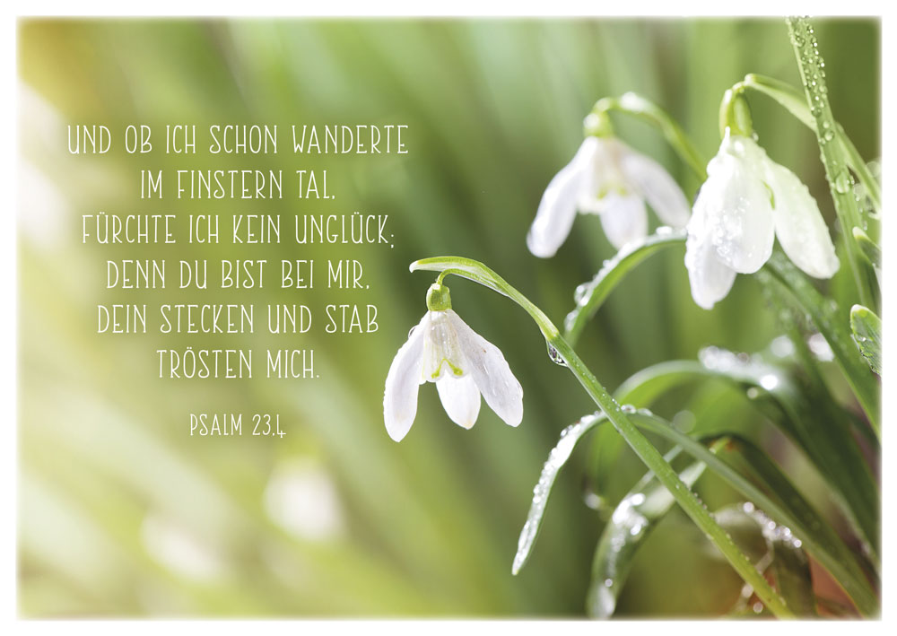 Postkartenbox-Getroestet-und-getragen-179731998_4