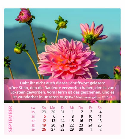 Ich bin der Herr, dein Gott - Tischkalender 2027