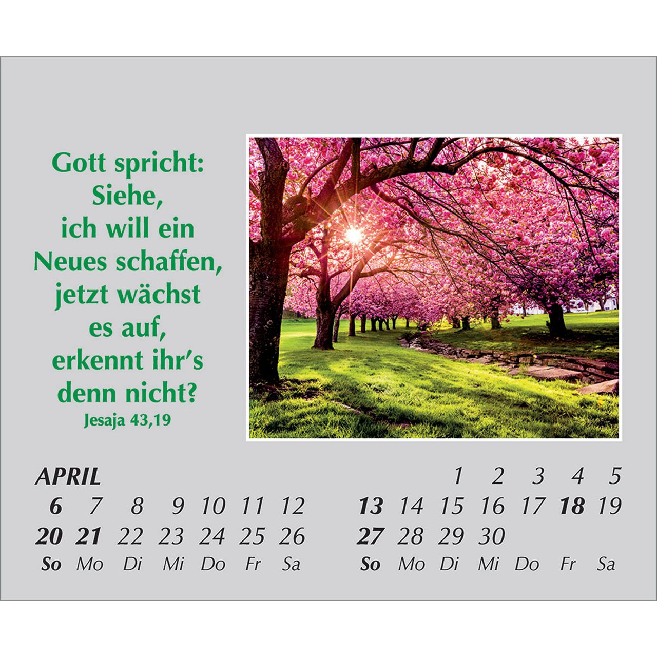 Mini-Aufstellkalender - Freude für jeden Tag 2025