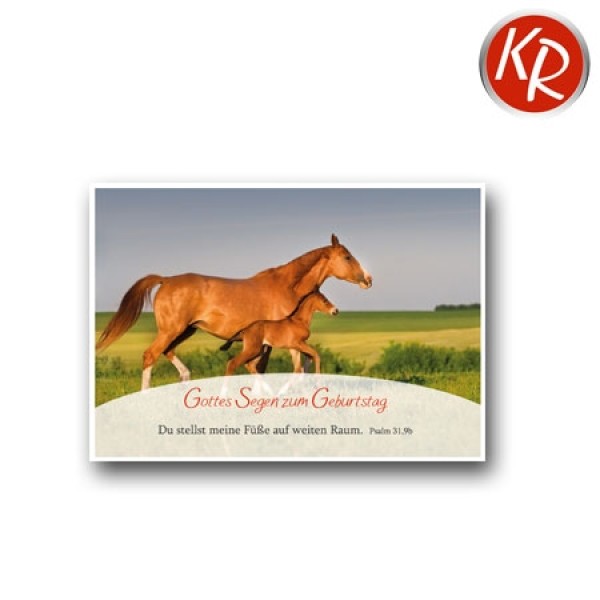 Postkarte Geburtstag - Pferde