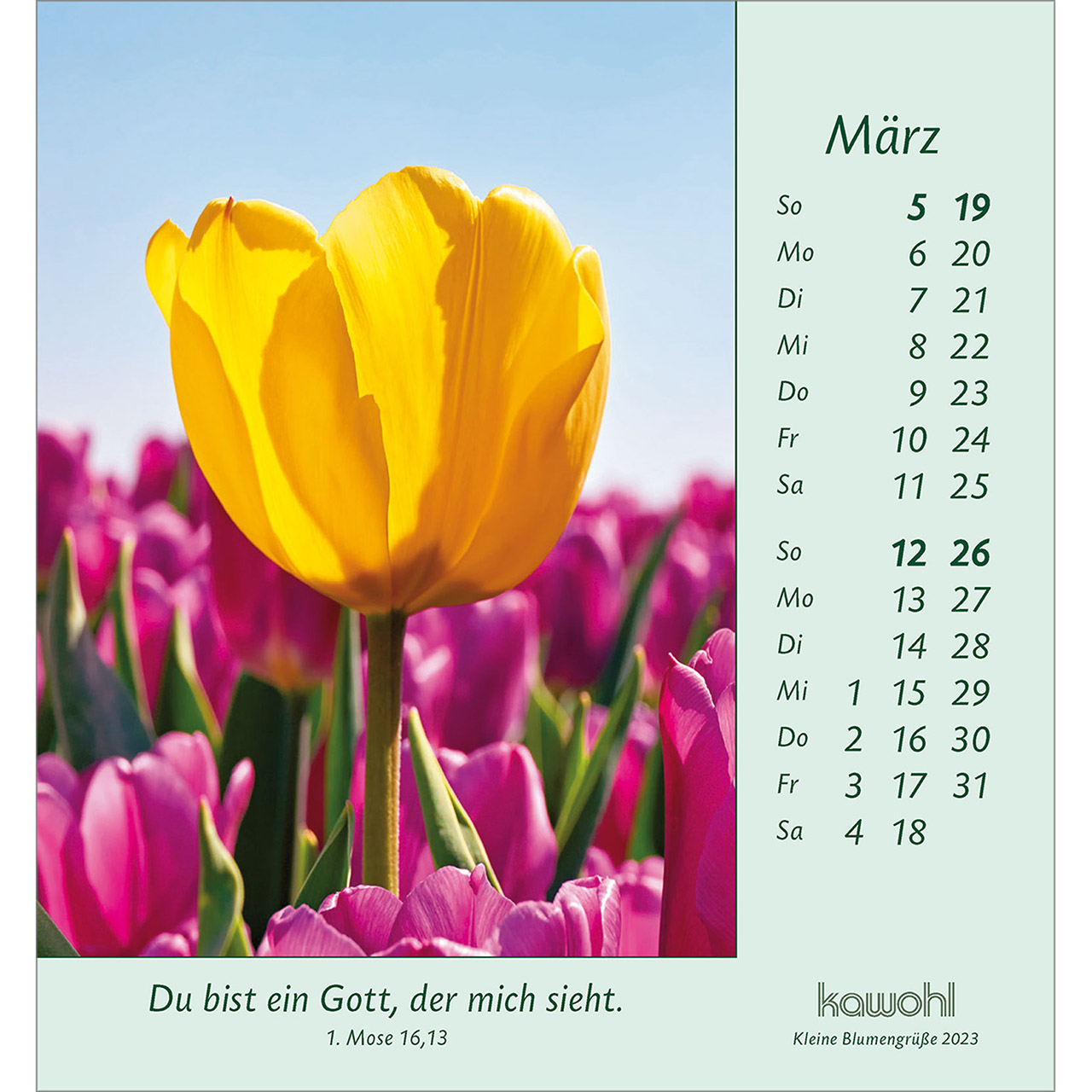 Aufstellkalender - Kleine Blumengrüße 2023 Aufstellkalender - Kleine Blumengrüße 2023