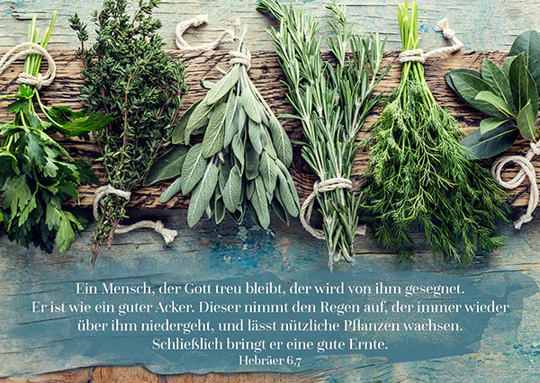 Postkarte - Ein Mensch, der Gott treu bleibt