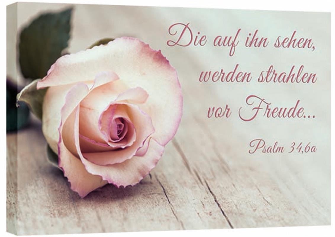 Leinwand - Rose auf Holz Leinwand - Rose auf Holz