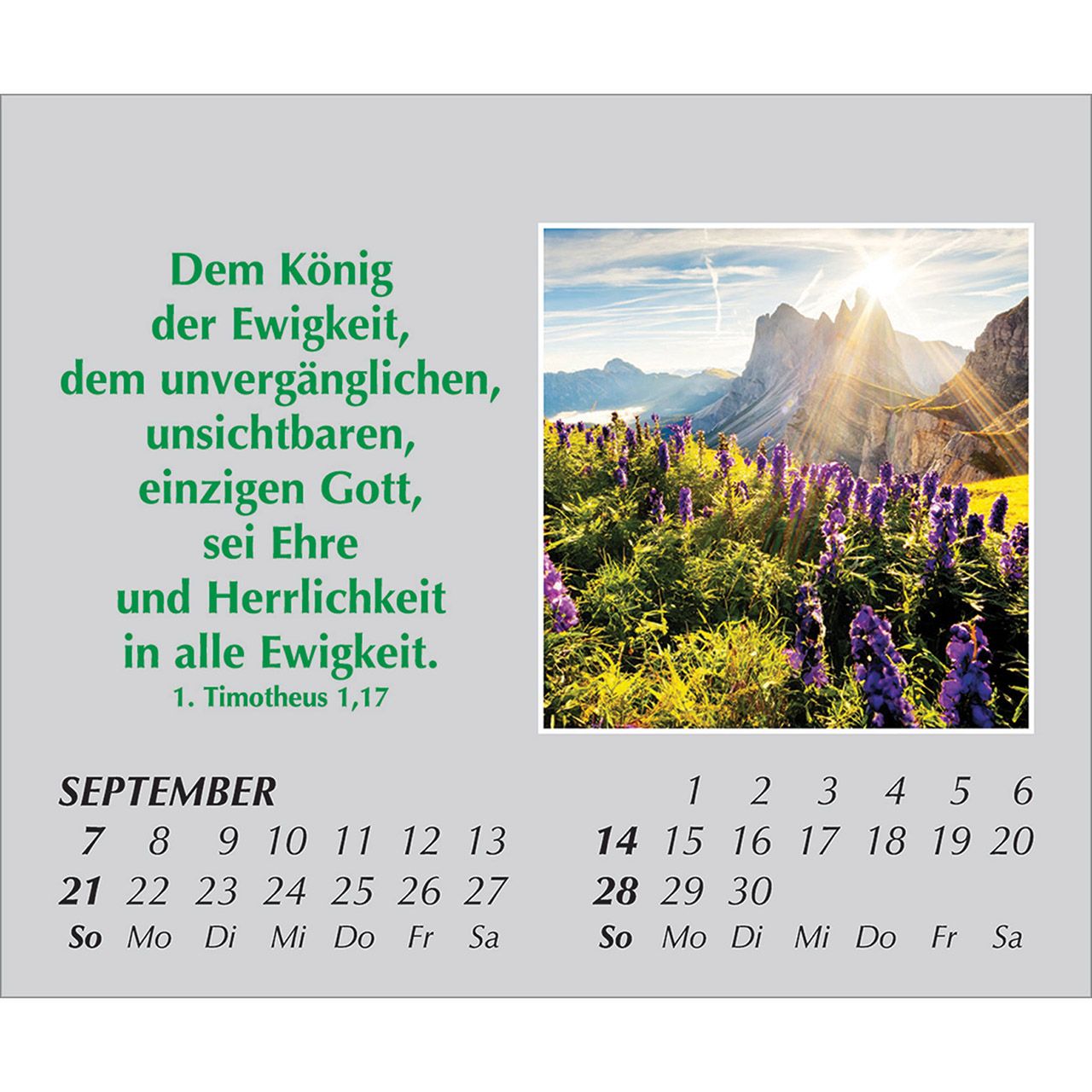 Mini-Aufstellkalender - Freude für jeden Tag 2025