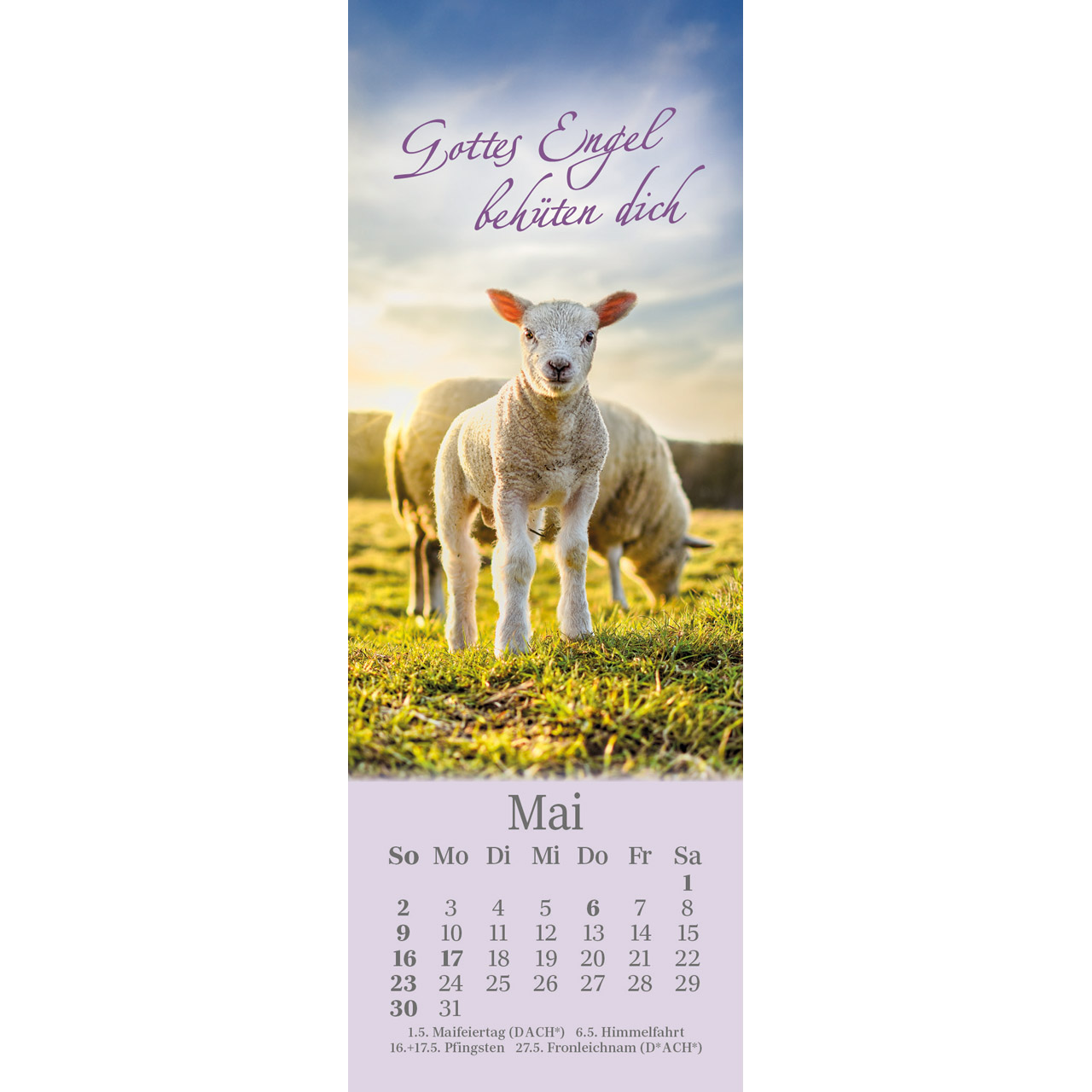 Lesezeichen-Kalender - Sei behütet jeden Tag 2027