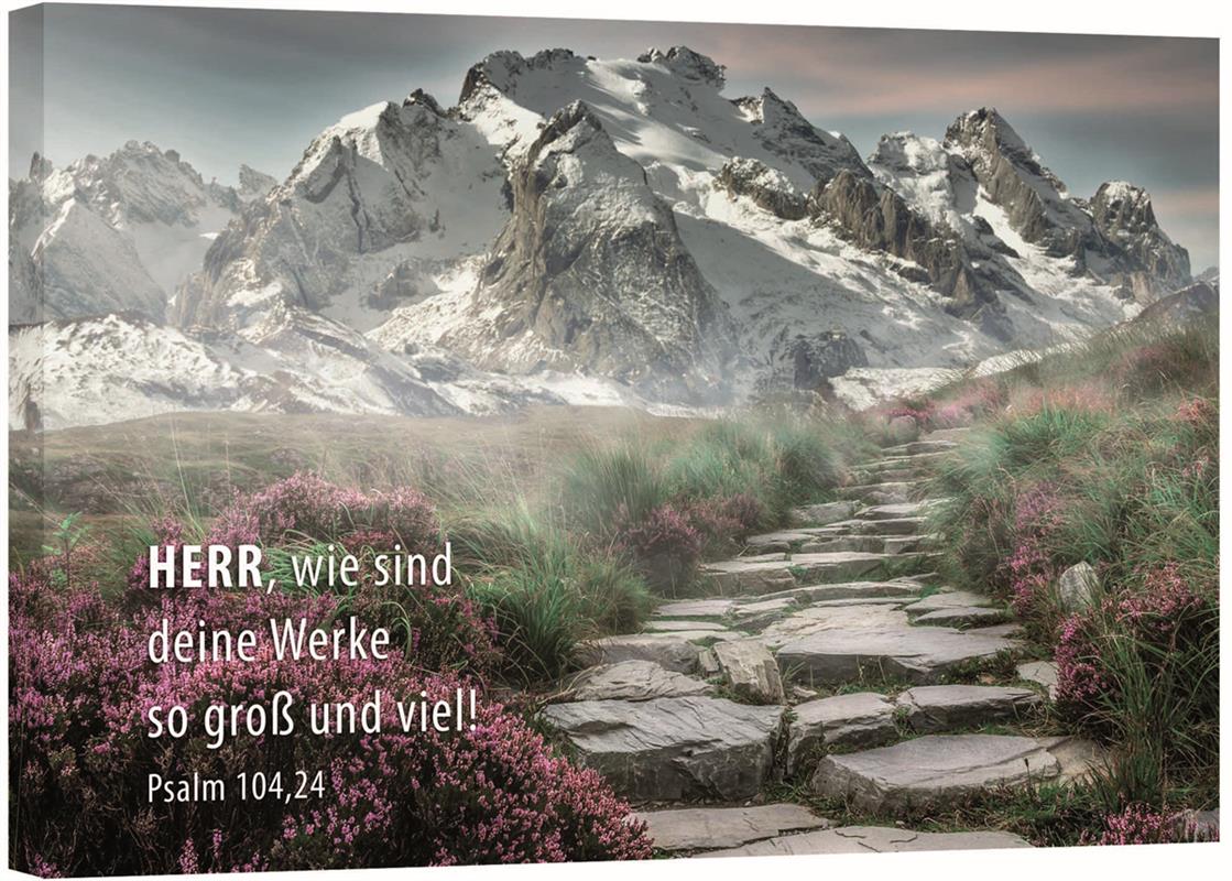 Bild - Steiniger Weg Bild - Steiniger Weg