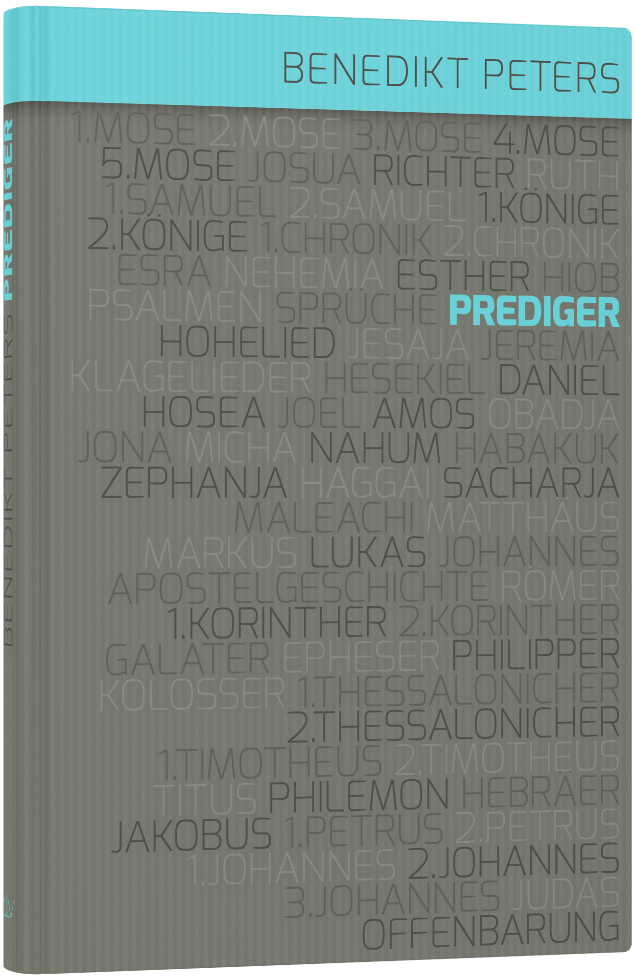 Kommentar zum Buch Prediger