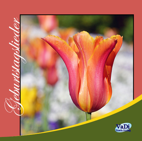 Geburtstagslieder - CD Geburtstagslieder - CD