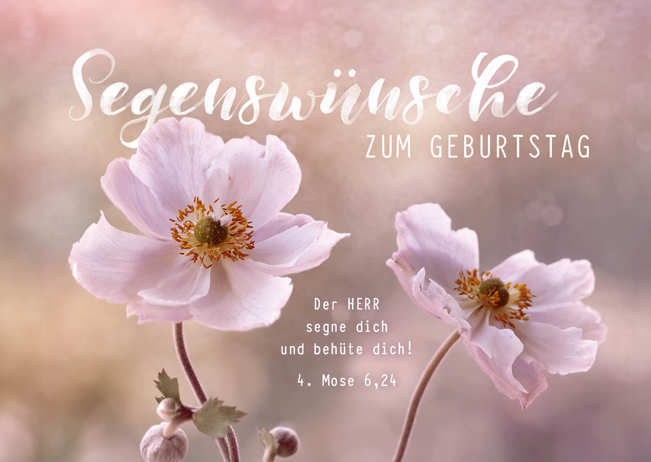 Postkarte -Segenswünsche zum Geburtstag Der Herr segne dich