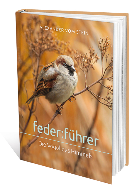 feder:führer feder:führer
