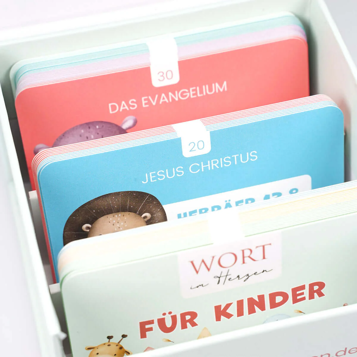 Wort im Herzen - Für Kinder - Set mit Aufbewahrungsbox