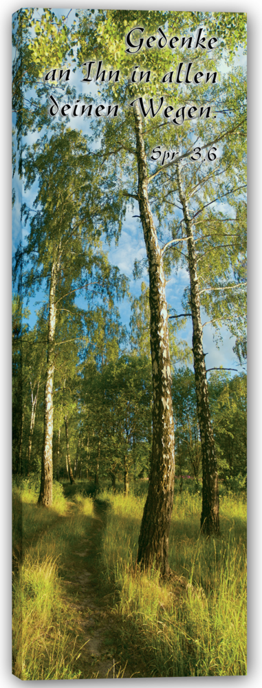 Der-Pfad54f030ed0b08b Leinwandbild - Der Pfad