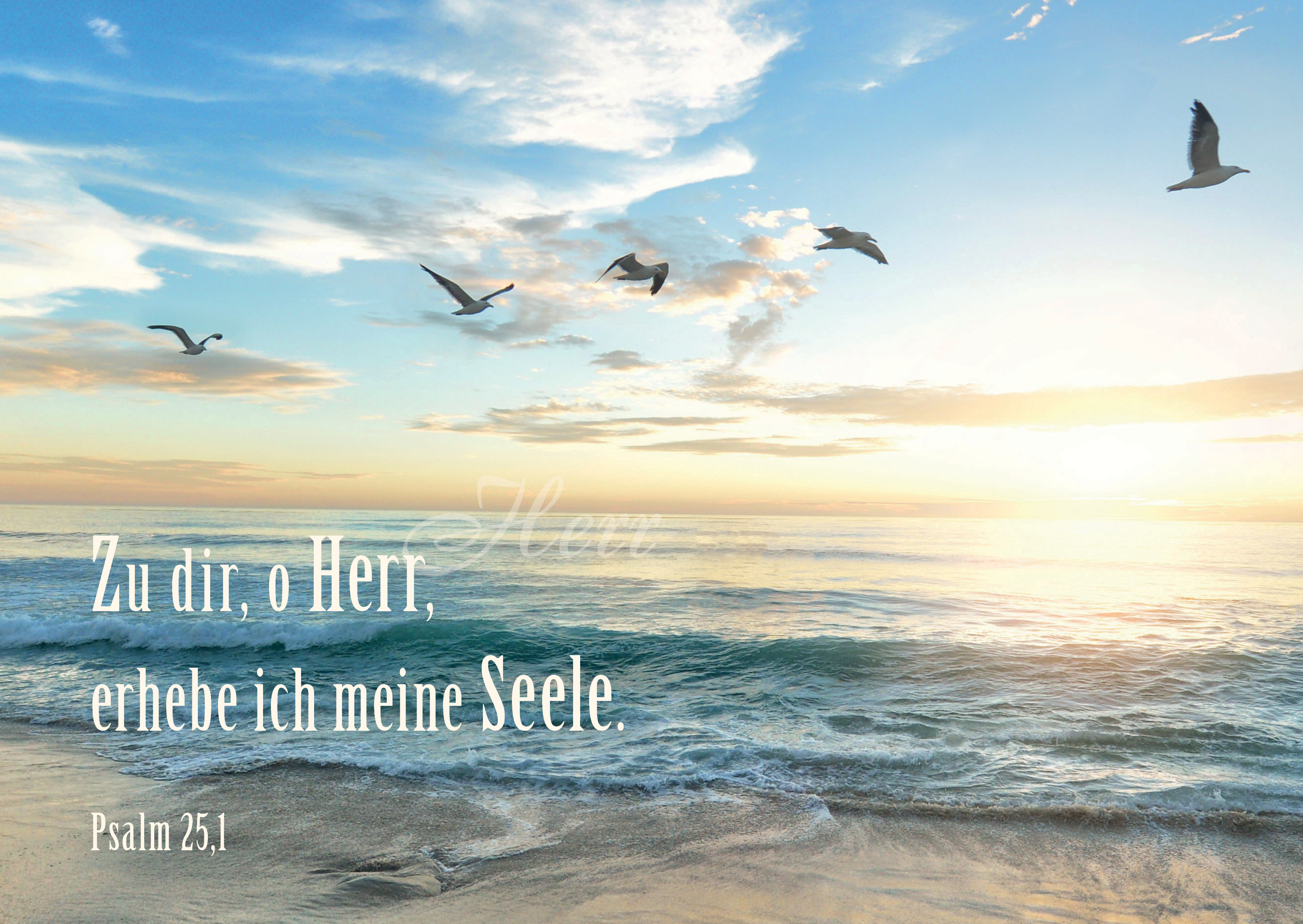 Postkarte-Meer-Postkarten_2019_Rueckseite33 Postkarte - Meer
