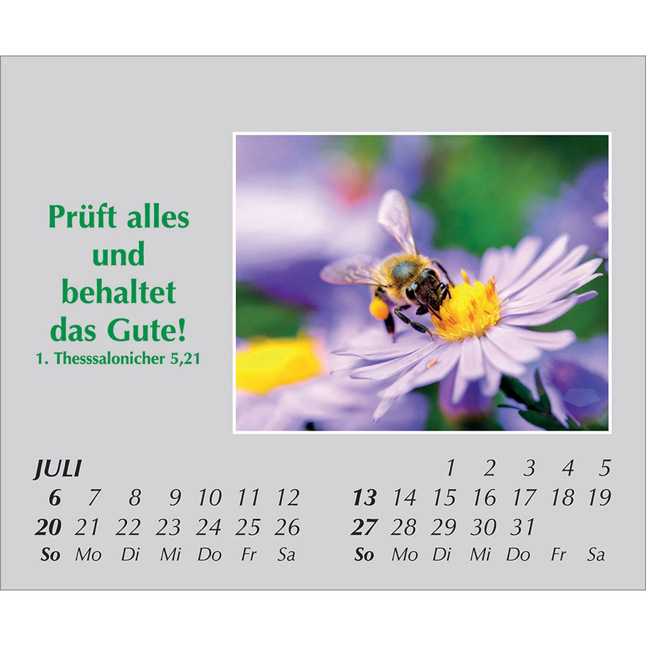 Mini-Aufstellkalender - Freude für jeden Tag 2025