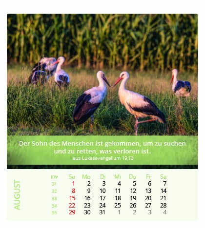 Ich bin der Herr, dein Gott - Tischkalender 2027