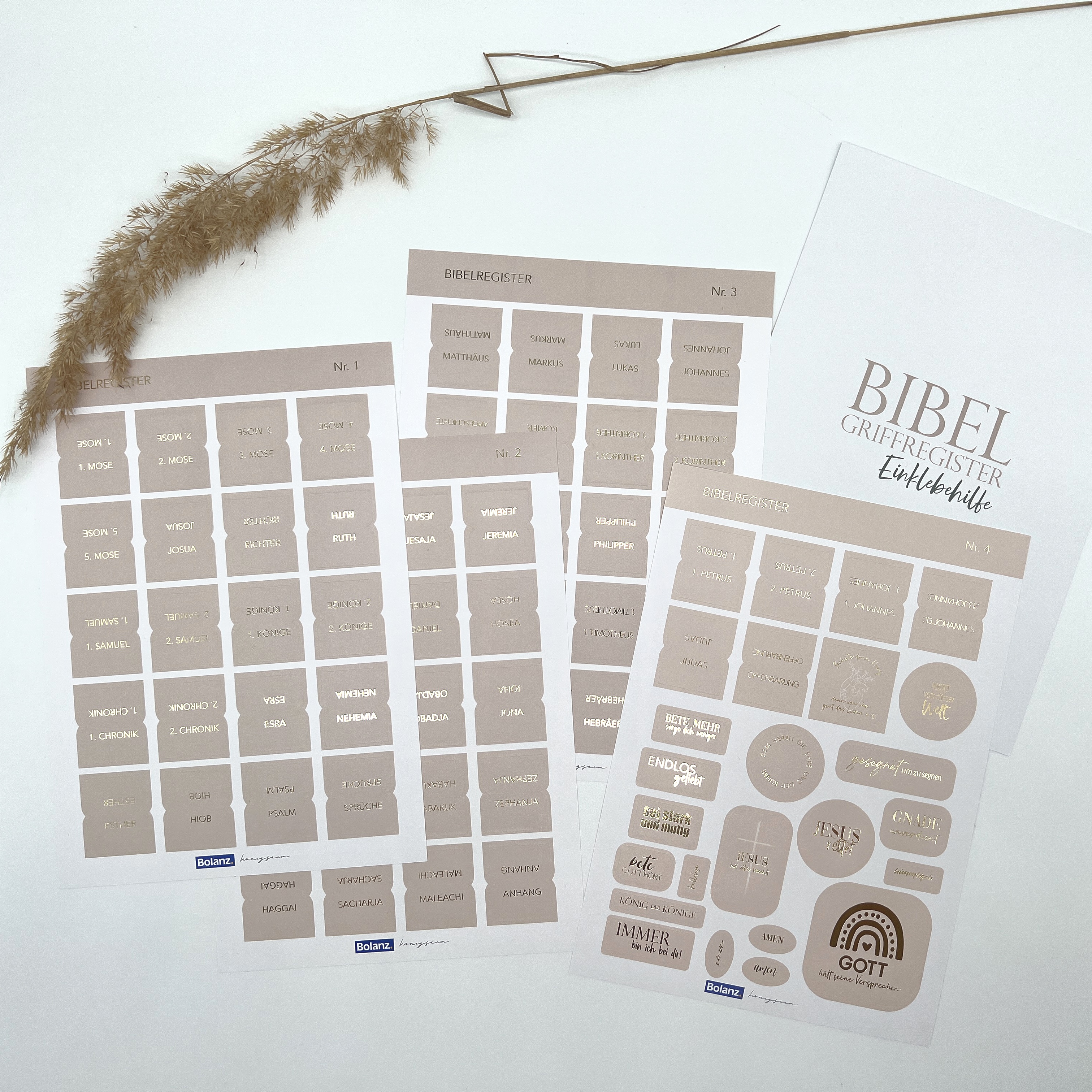 Bibel- Griffregister cremefarben mit Goldveredelung