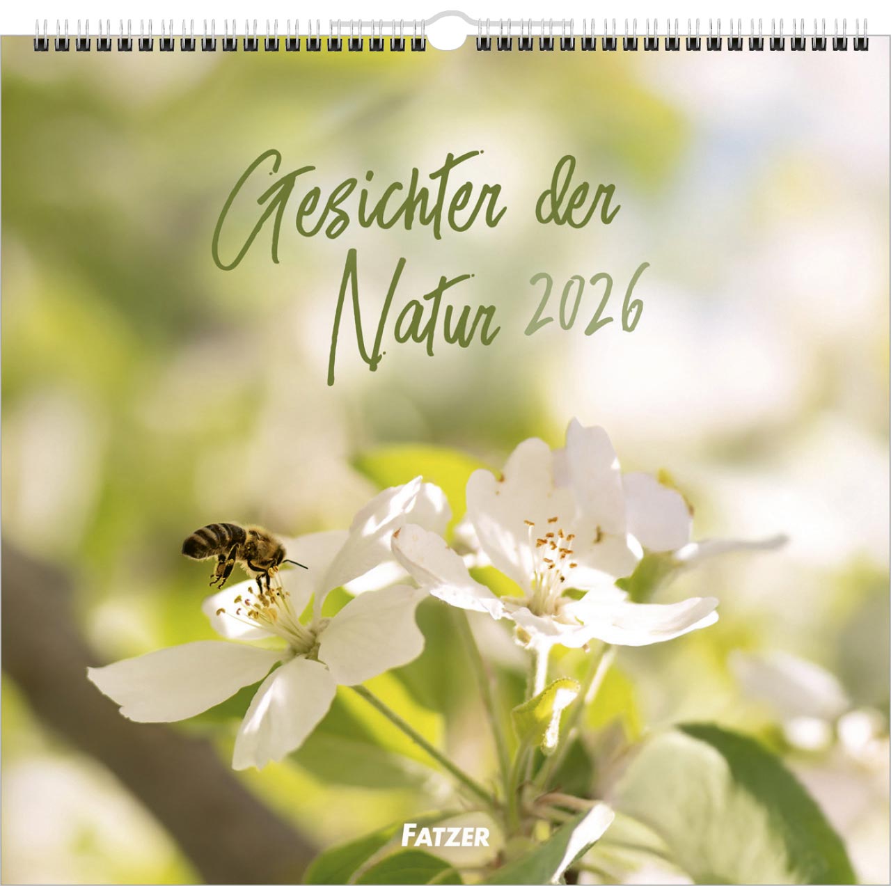 Gesichter der Natur Wandkalender 2026