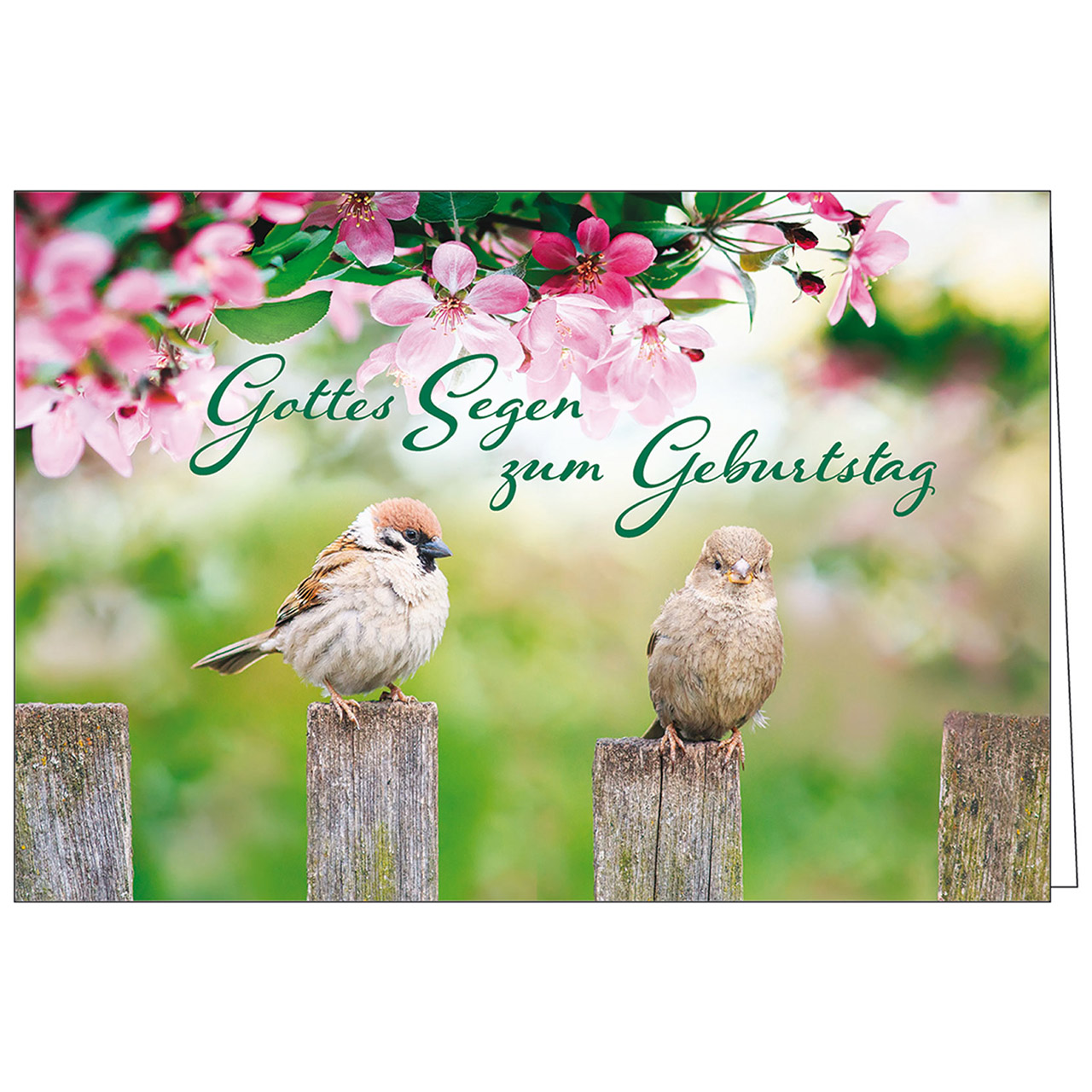 DK - Gottes Segen zum Geburtstag DK - Gottes Segen zum Geburtstag