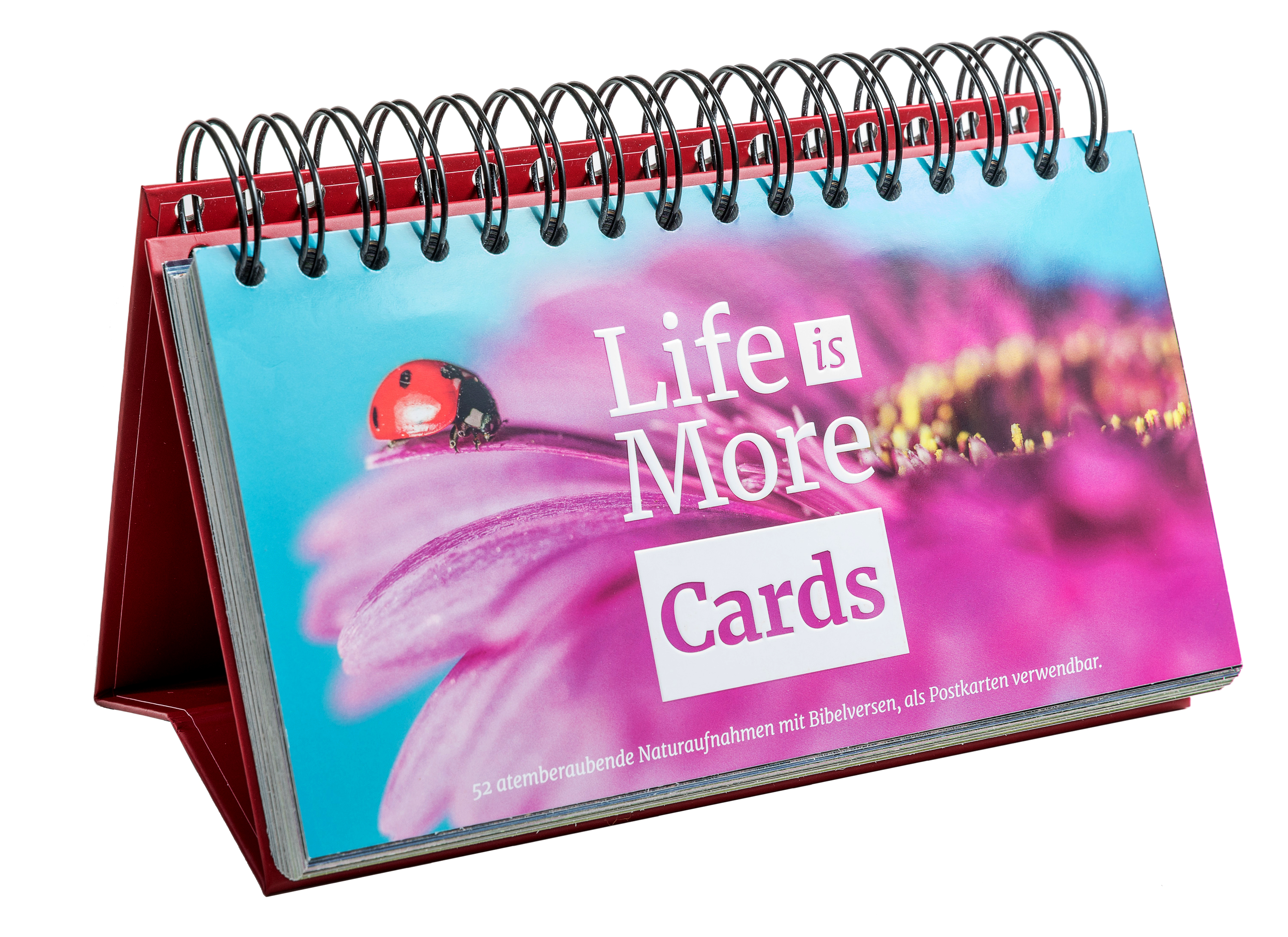 Life-is-More-Cards-Life-is-More_Cards_8022 Life-is-More Cards