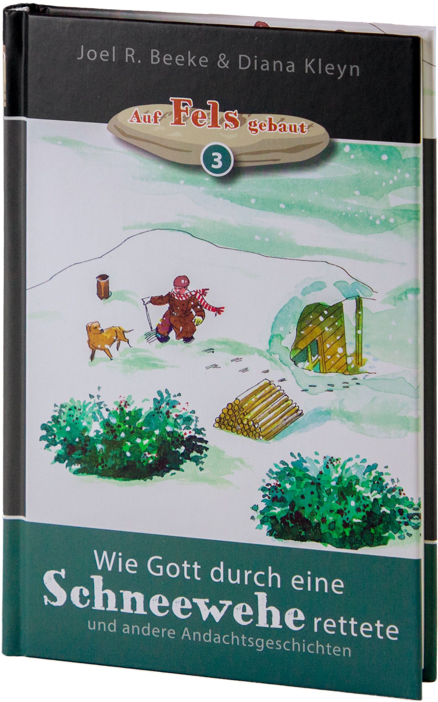 Wie Gott durch eine Schneewehe rettete - Band 3 Wie Gott durch eine Schneewehe rettete - Band 3