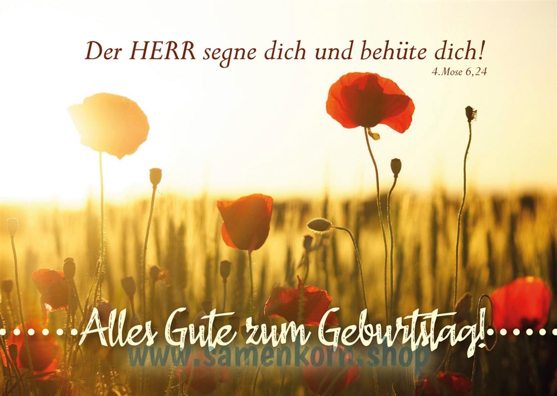 DK-Alles-Gute-zum-Geburtstag-Mohnblumen-116121_Alles_Gute_zum_GEburtstag2 DK - Alles Gute zum Geburtstag, Mohnblumen