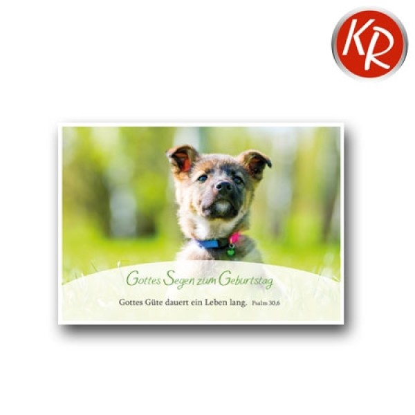 Postkarte Geburtstag - Hund