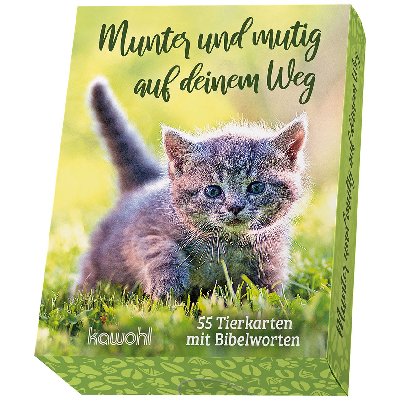 Karten-Box Munter und mutig