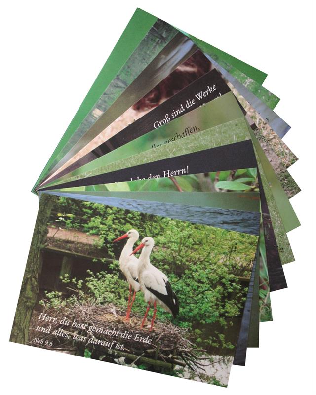 Postkarten-Set-Tiere-12-Stueck-Postkartenset_Tiere Postkarten-Set - Tiere, 12 Stück