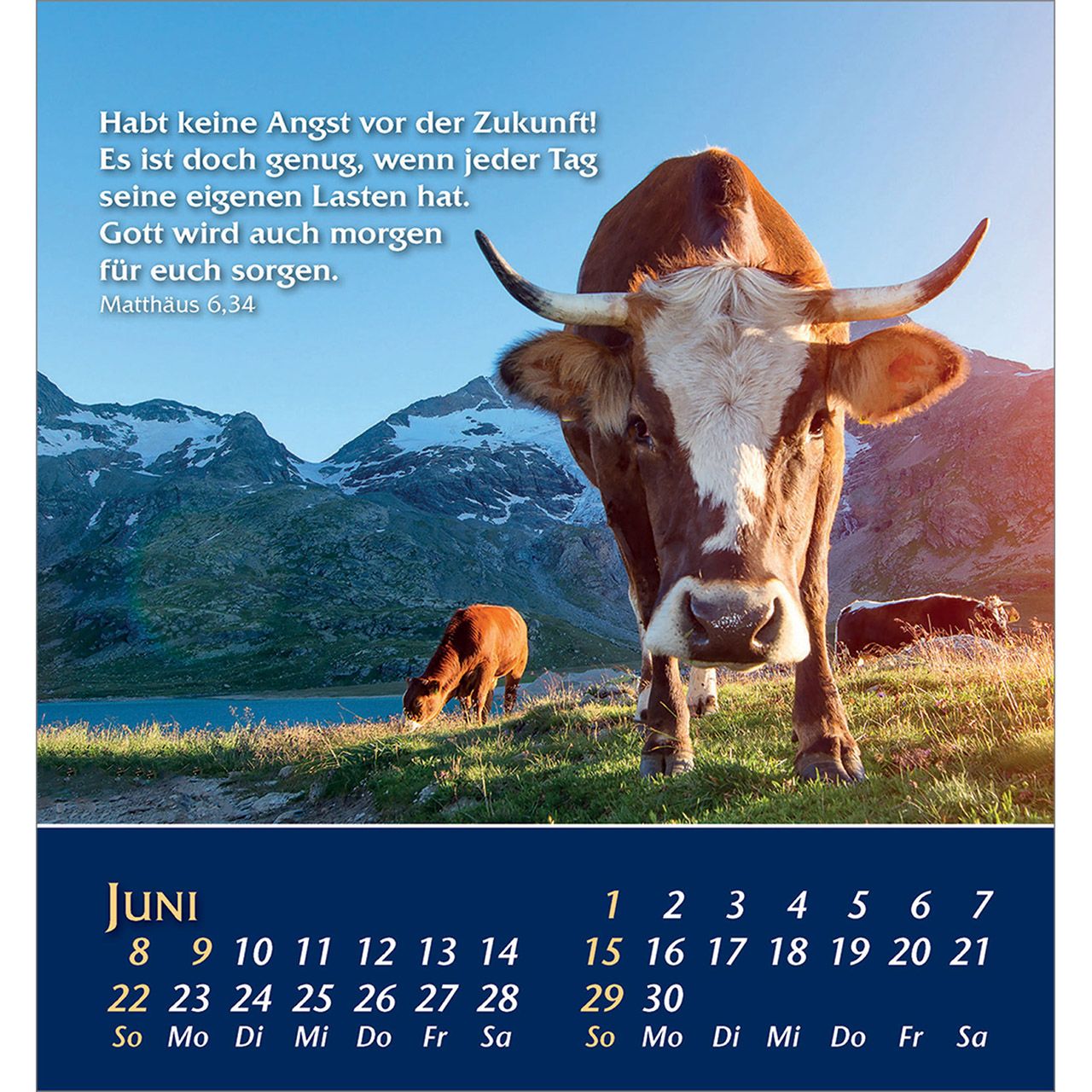 Aufstellkalender - Aus der Stille leben 2025