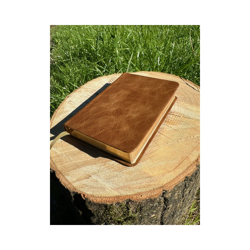 Pocketbibel, Leder Unique Toffee braun, Goldschnitt