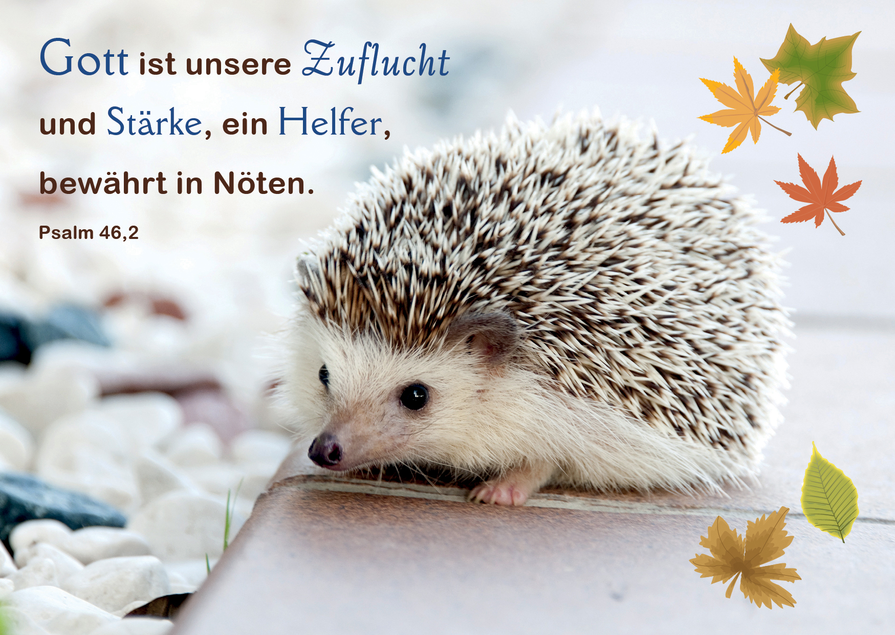 Postkarte-Igel-150286_Gott-ist-unsere581086b77e622 Postkarte "Igel"